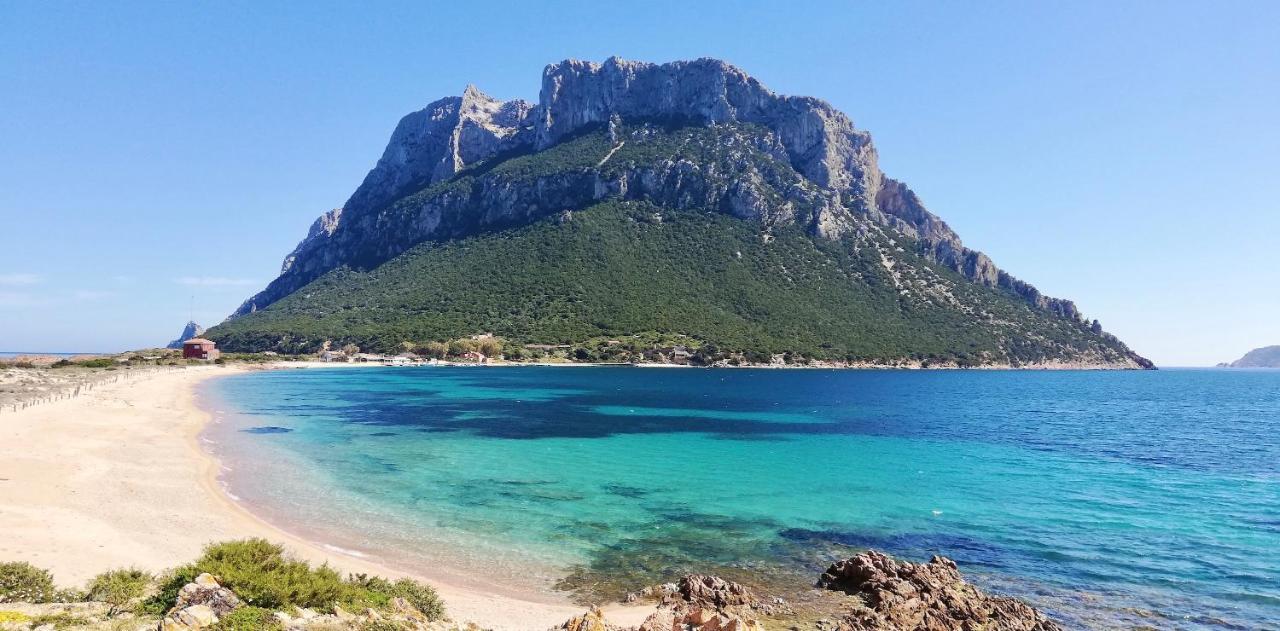 Iss Travel, Ambra Apartments - 800 M From La Cinta Beach San Teodoro  Dış mekan fotoğraf