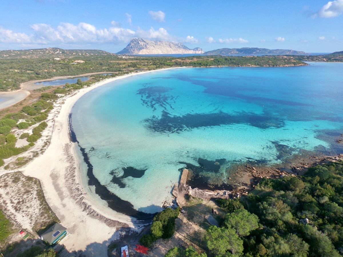 Iss Travel, Ambra Apartments - 800 M From La Cinta Beach San Teodoro  Dış mekan fotoğraf